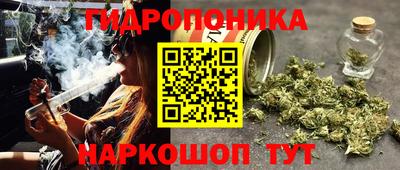 стаф Будённовск