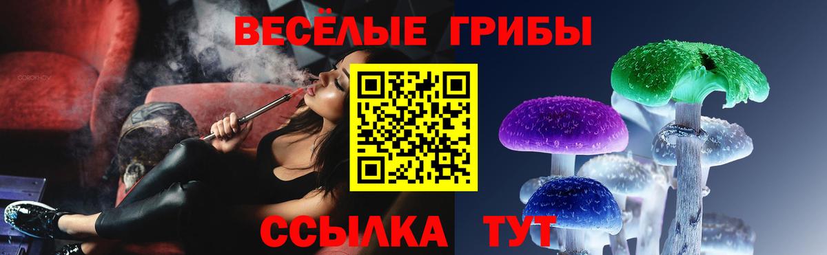 Луга  Галлюциногенные грибы прущие грибы  Вход с VPN 