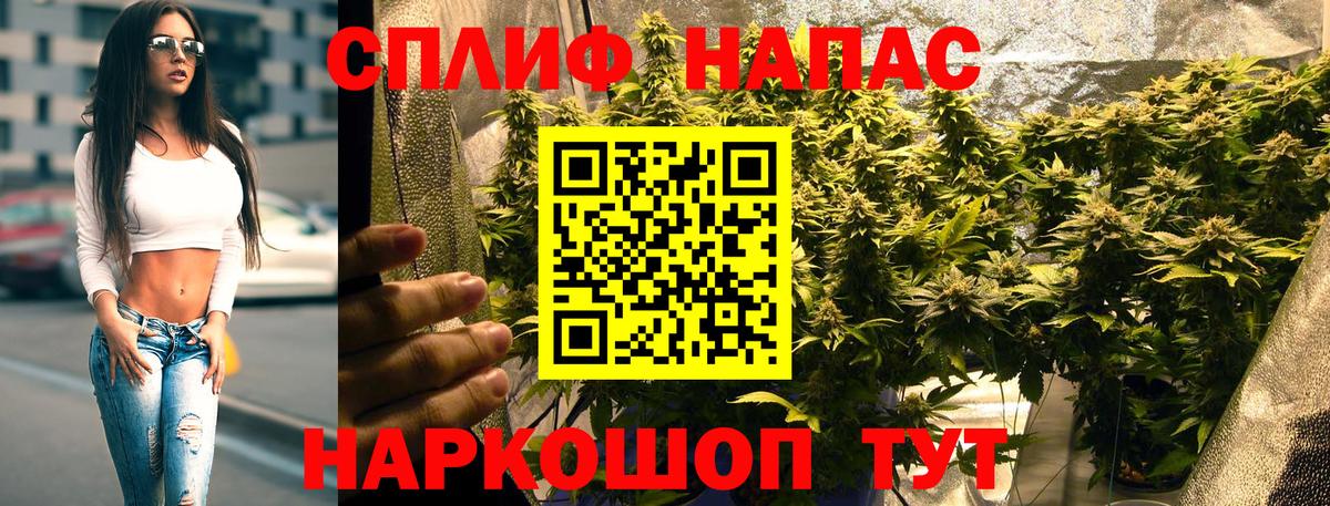 Шишки марихуана конопля Луга